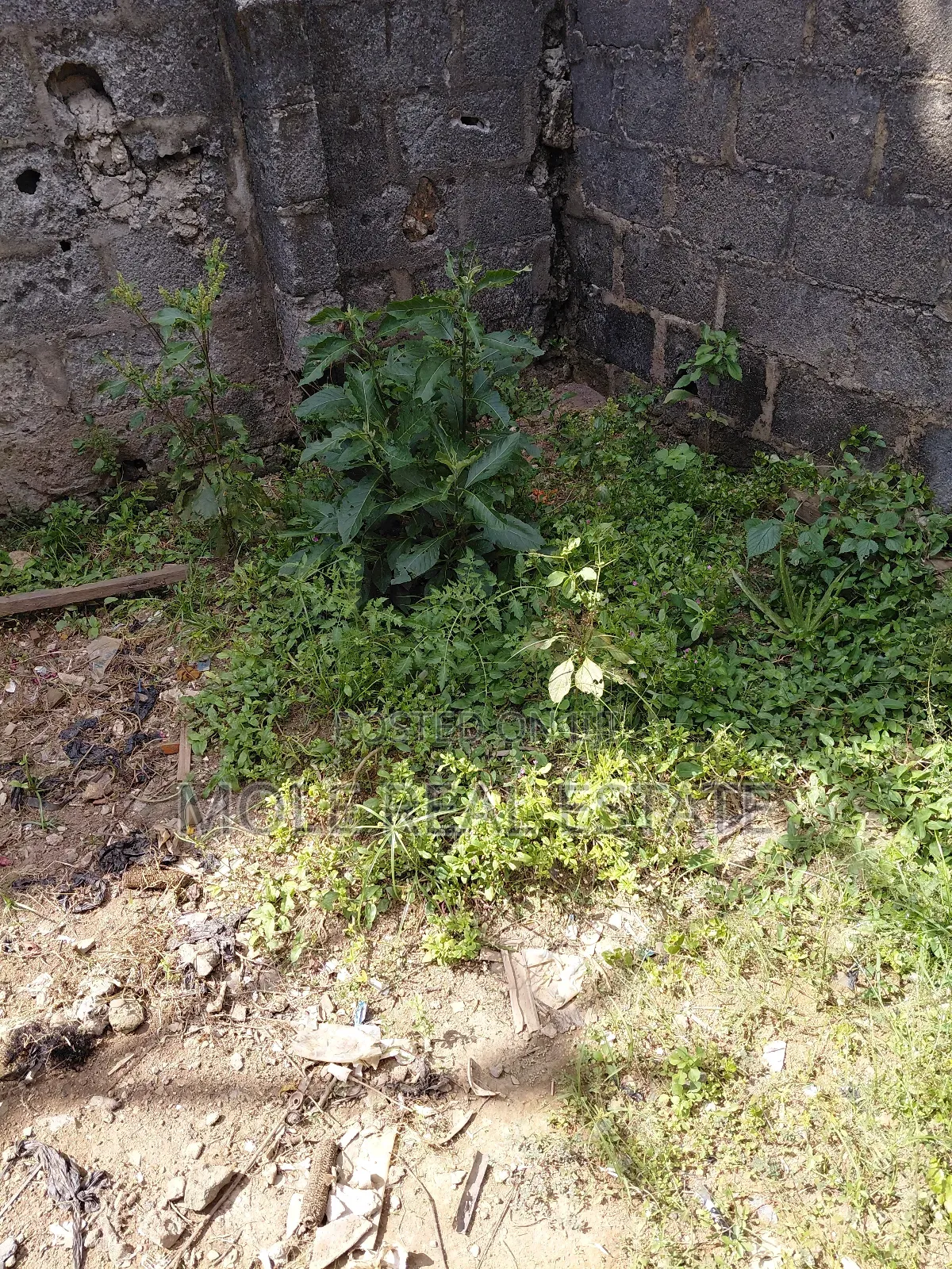 1800sqm Plot Osborne Phase 1 Ikoyi