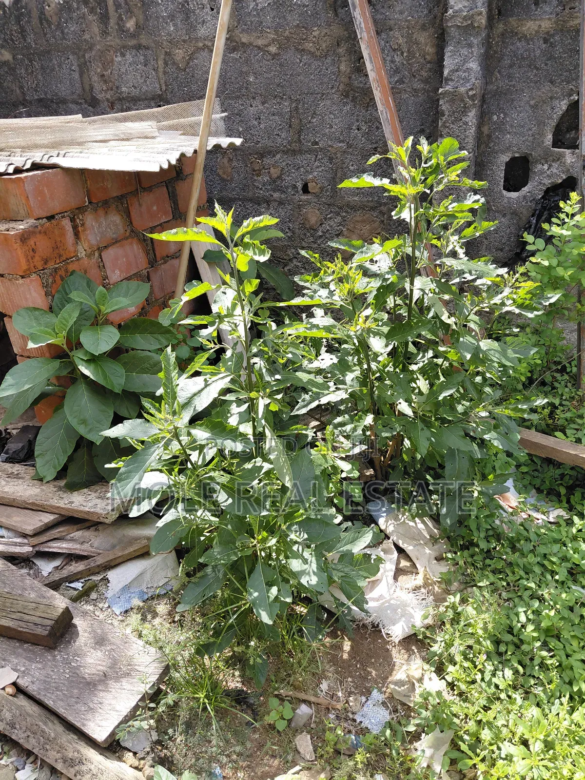 400sqm Sholuyi Gbagada Fenced Gated