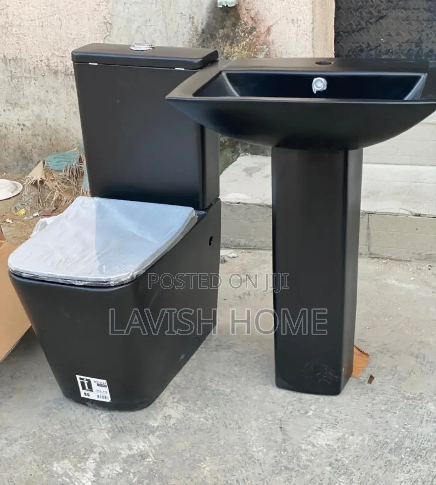 Black Water Closet With Basin and Pedestria