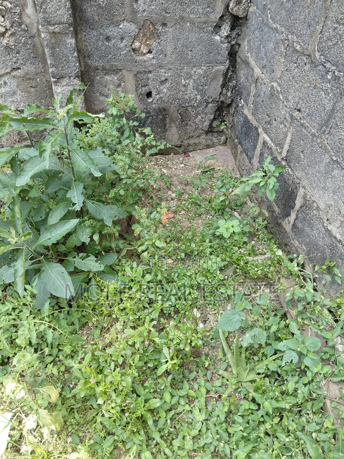 Farm Land Km Now Selling Owode Ogun State