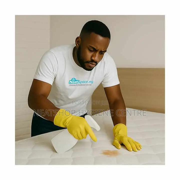 Professional Mattres Cleaning Service in Lagos