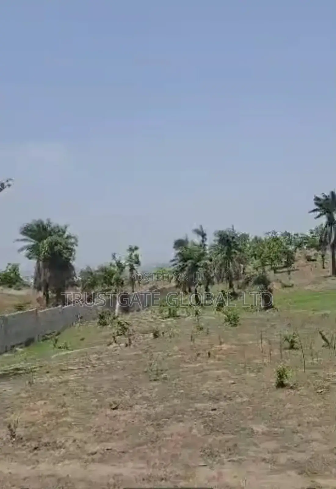 5 Hectares in Guzape 2 for Sale