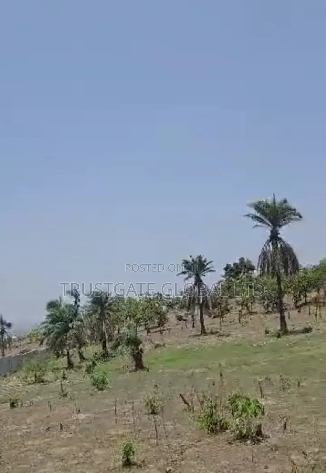 5 Hectares in Guzape 2 for Sale