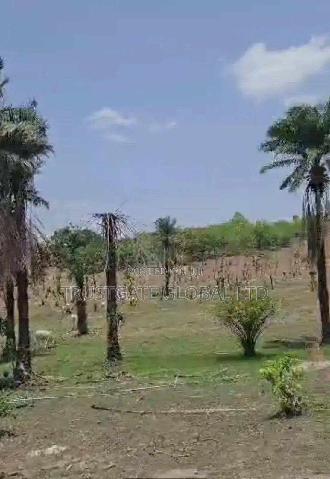 2.8ha in Guzape 2 for Sale