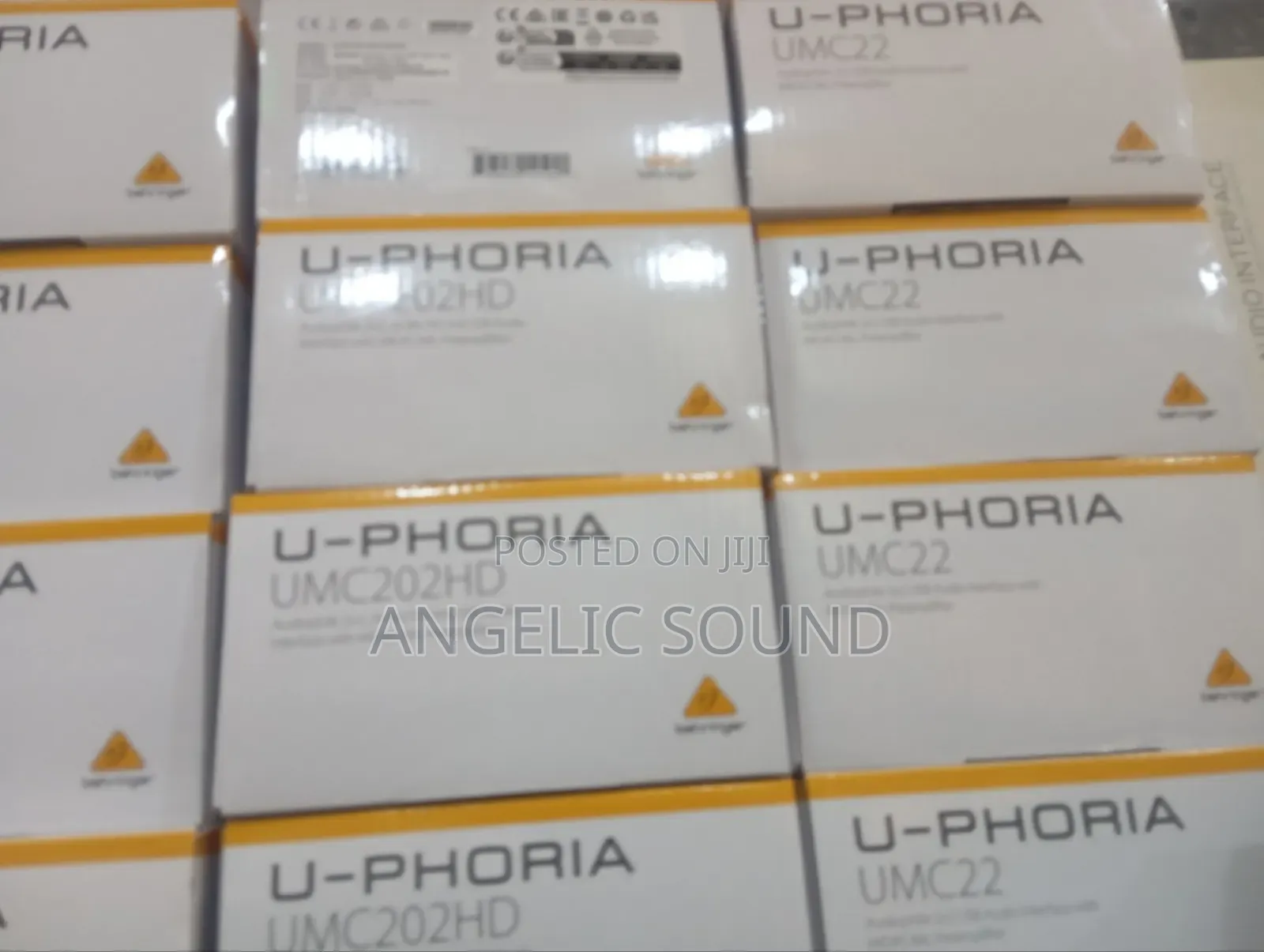 10 Inches Powered Studio Subwoofer