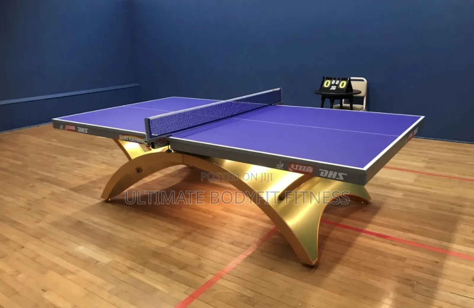 Brand New DHS Indoor Table Tennis Gold Rainbow Table