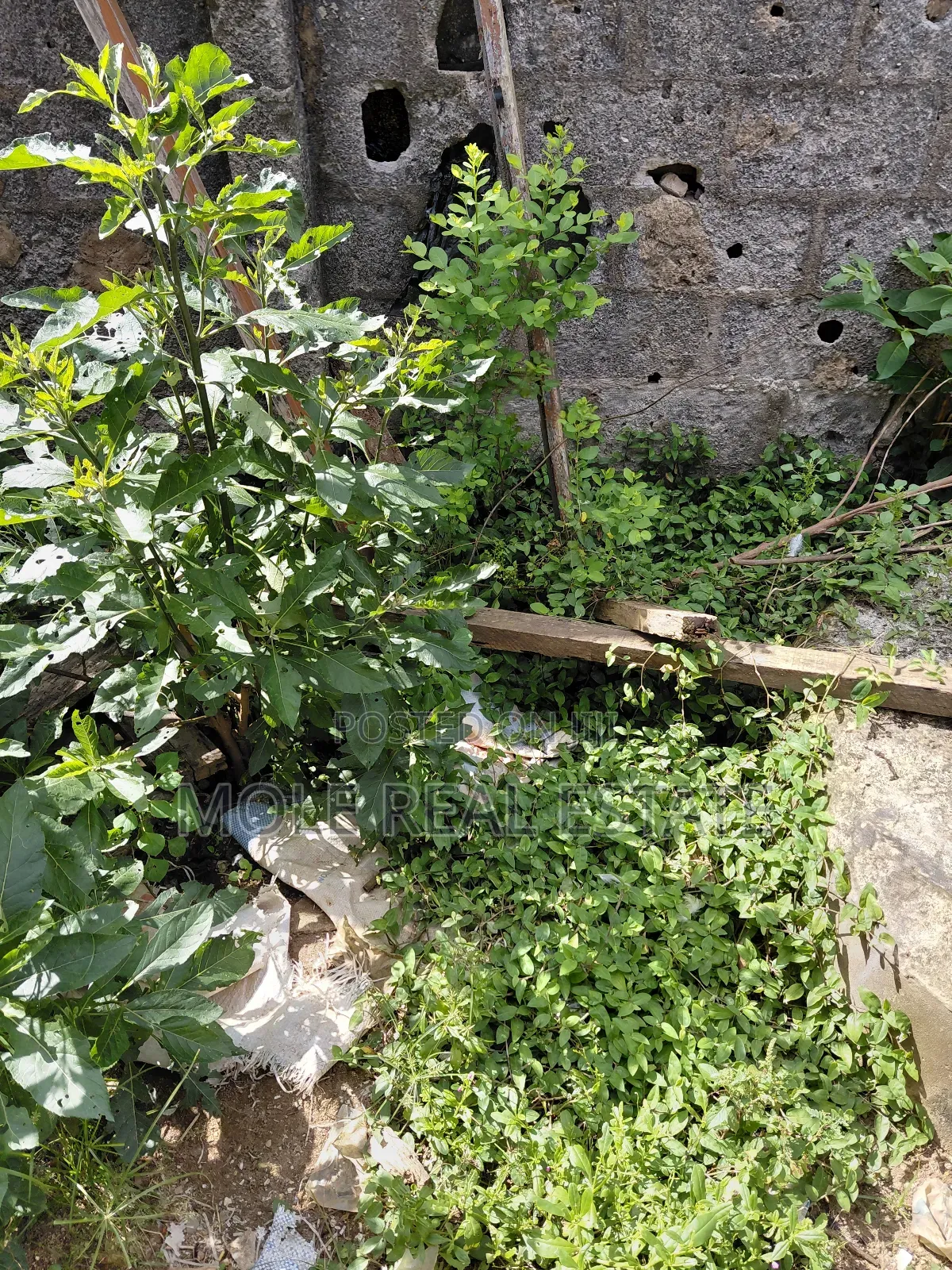 25 Acers Fenced Facing Lagos Ibadan by Redeemed Camp