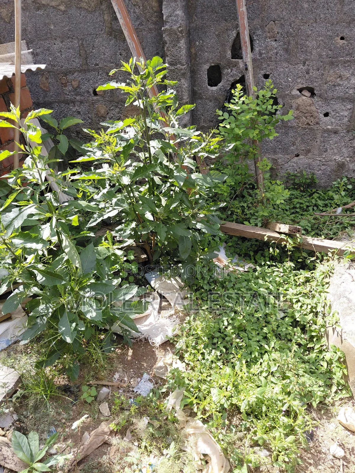 86 Acers Facing Lagos Ibada Rd by Sagamu Interchange
