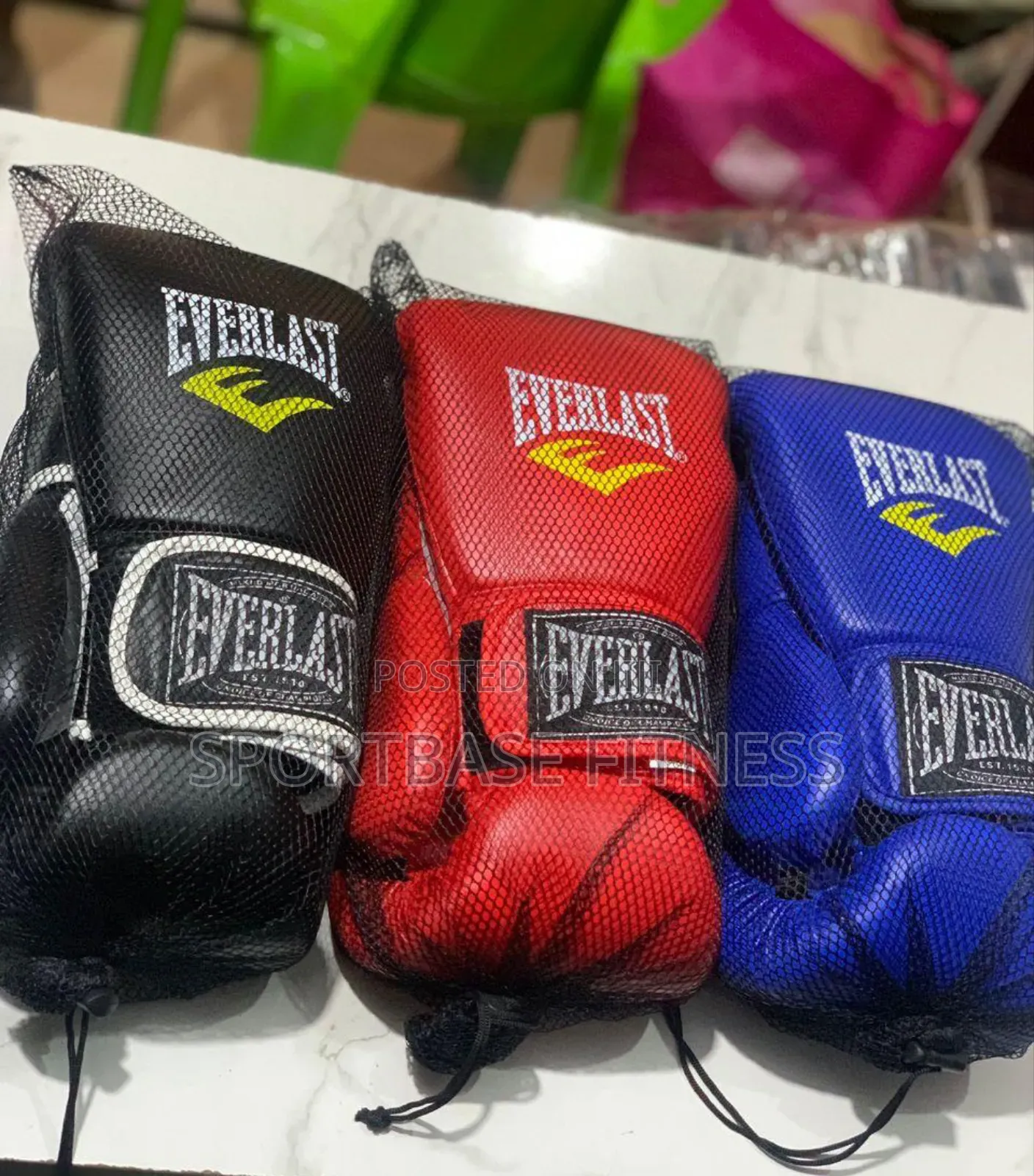 Everlast Boxing Gloves