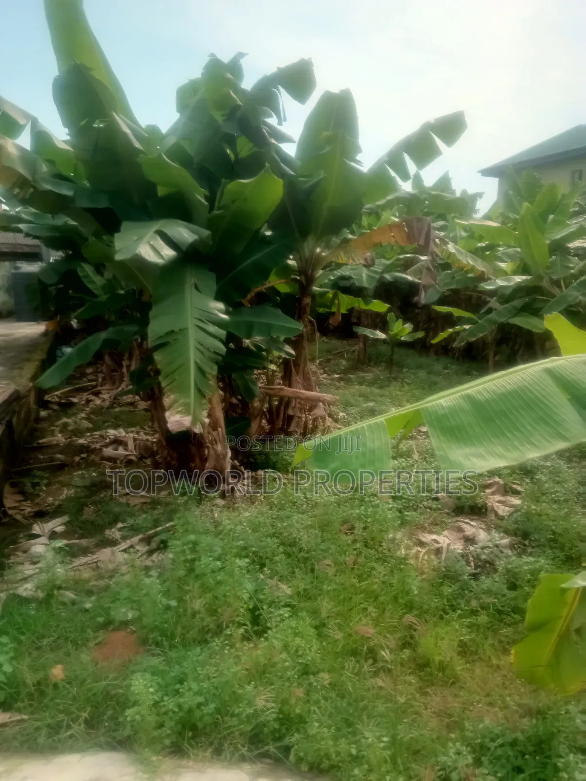 Half Plot of Land Measuring 42 Feet by 90 Feet at Ekoro Ebule Egba