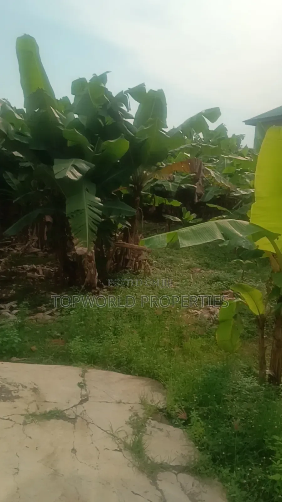 Half Plot of Land Measuring 42 Feet by 90 Feet at Ekoro Ebule Egba