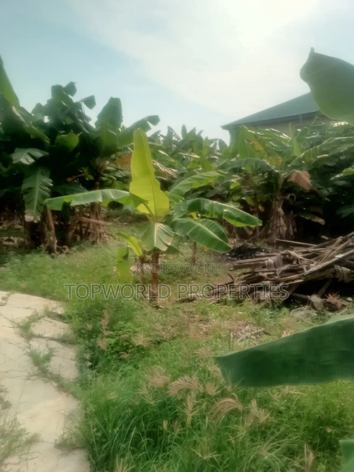 Half Plot of Land Measuring 42 Feet by 90 Feet at Ekoro Ebule Egba