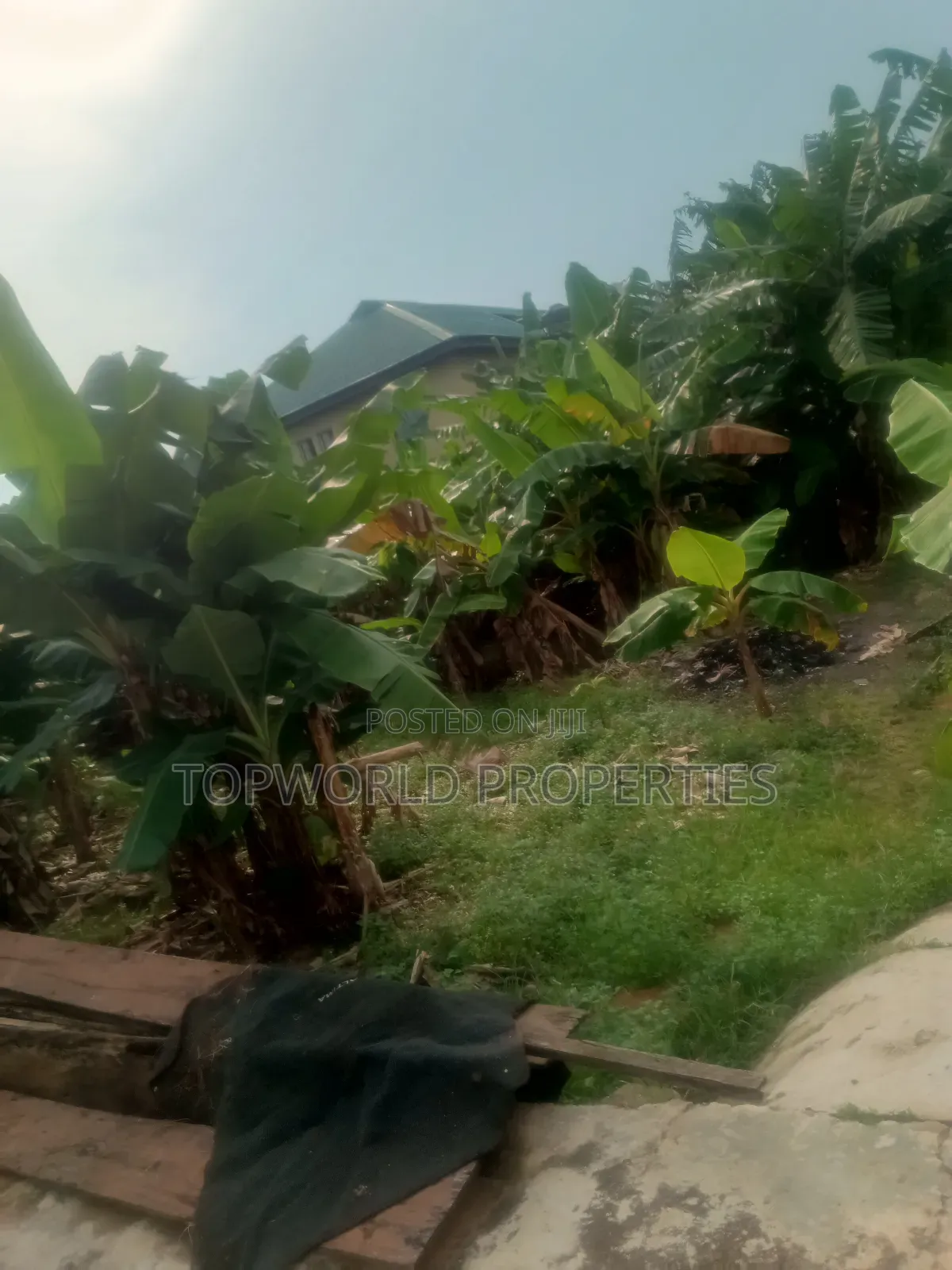 Half Plot of Land Measuring 42 Feet by 90 Feet at Ekoro Ebule Egba