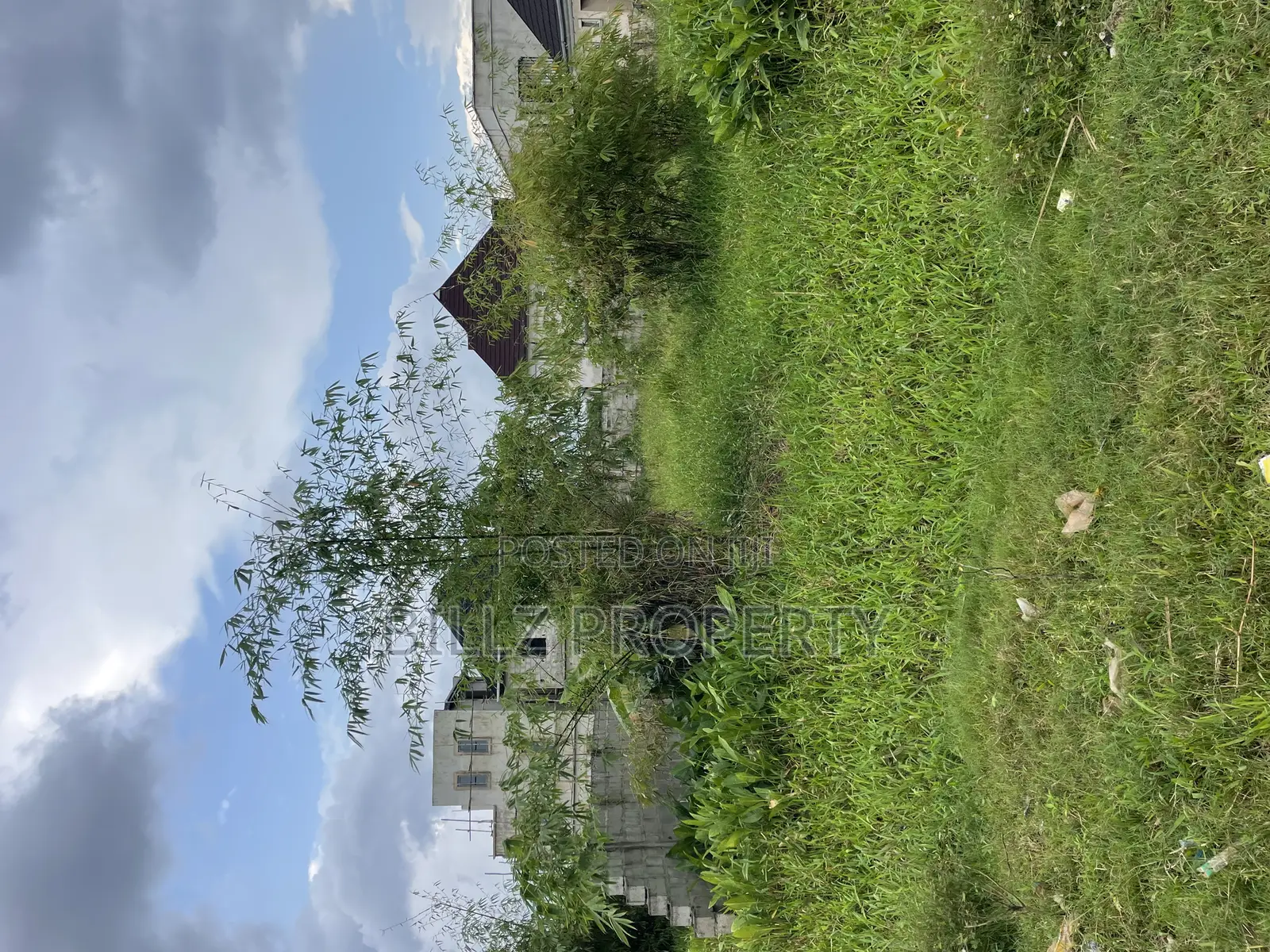 A Complete Half Plot of Land in a Serene Estate