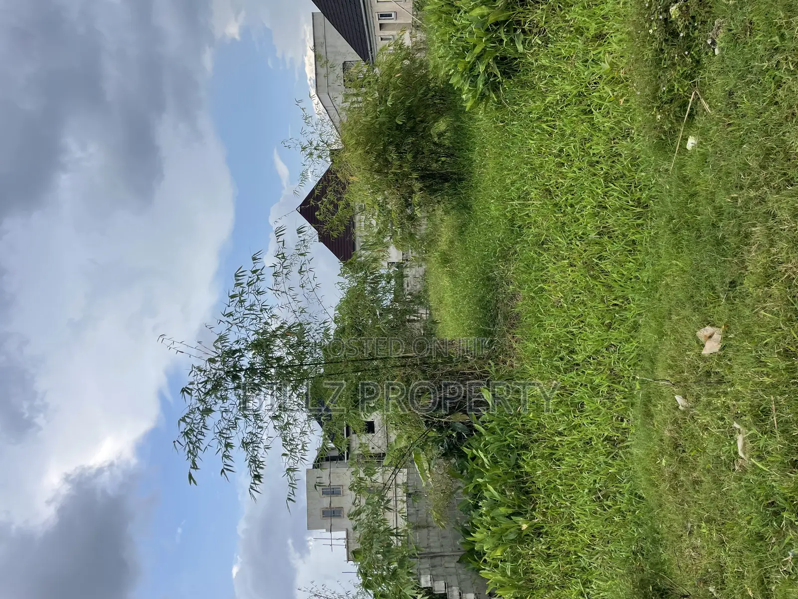 A Complete Half Plot of Land in a Serene Estate