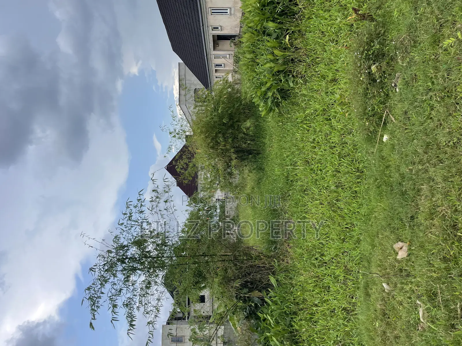 A Complete Half Plot of Land in a Serene Estate