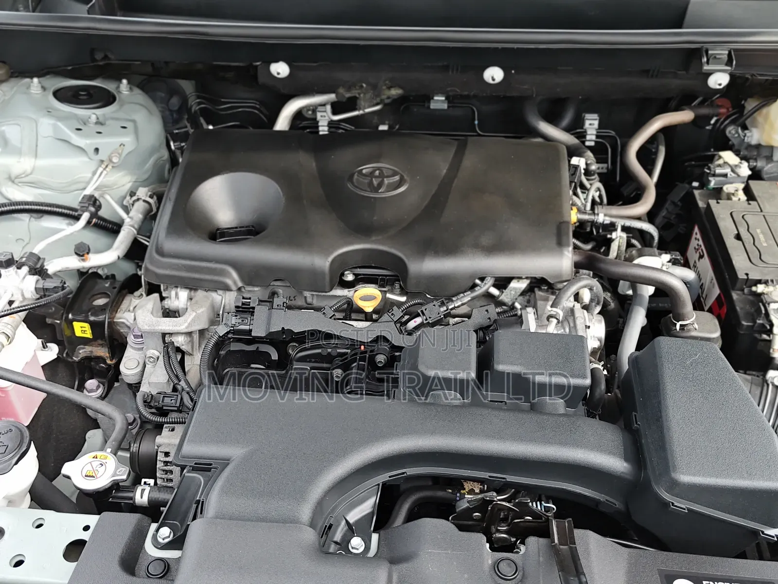 Toyota RAV4 Limited AWD 2023 Green