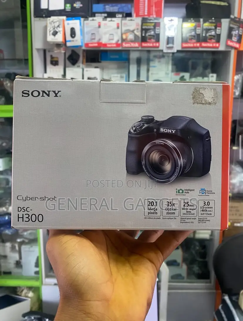 Sony Cyber-Shot DSC H300