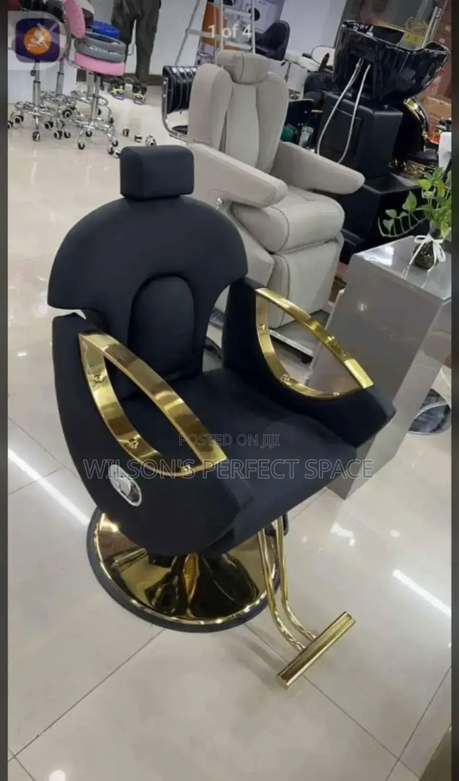 Luxury Salon Chair