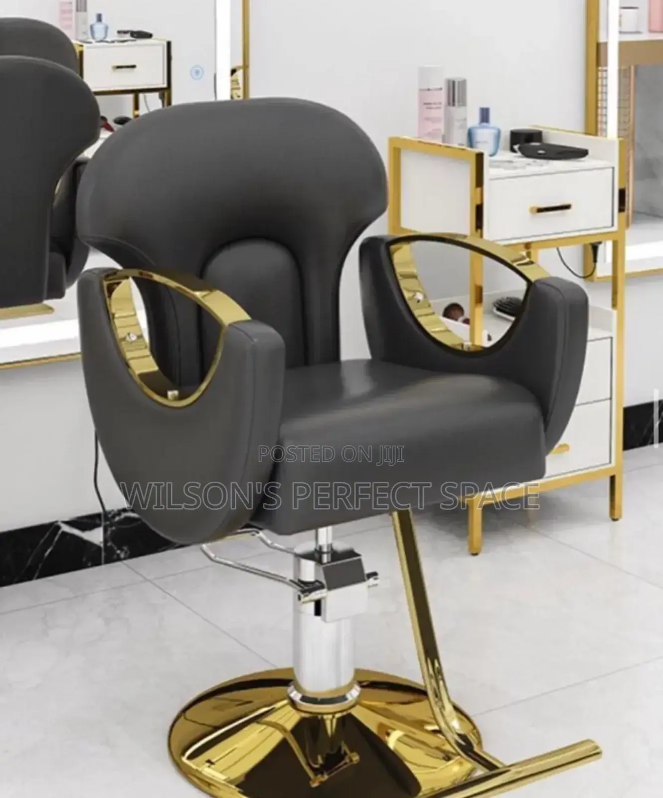 Luxury Salon Chair