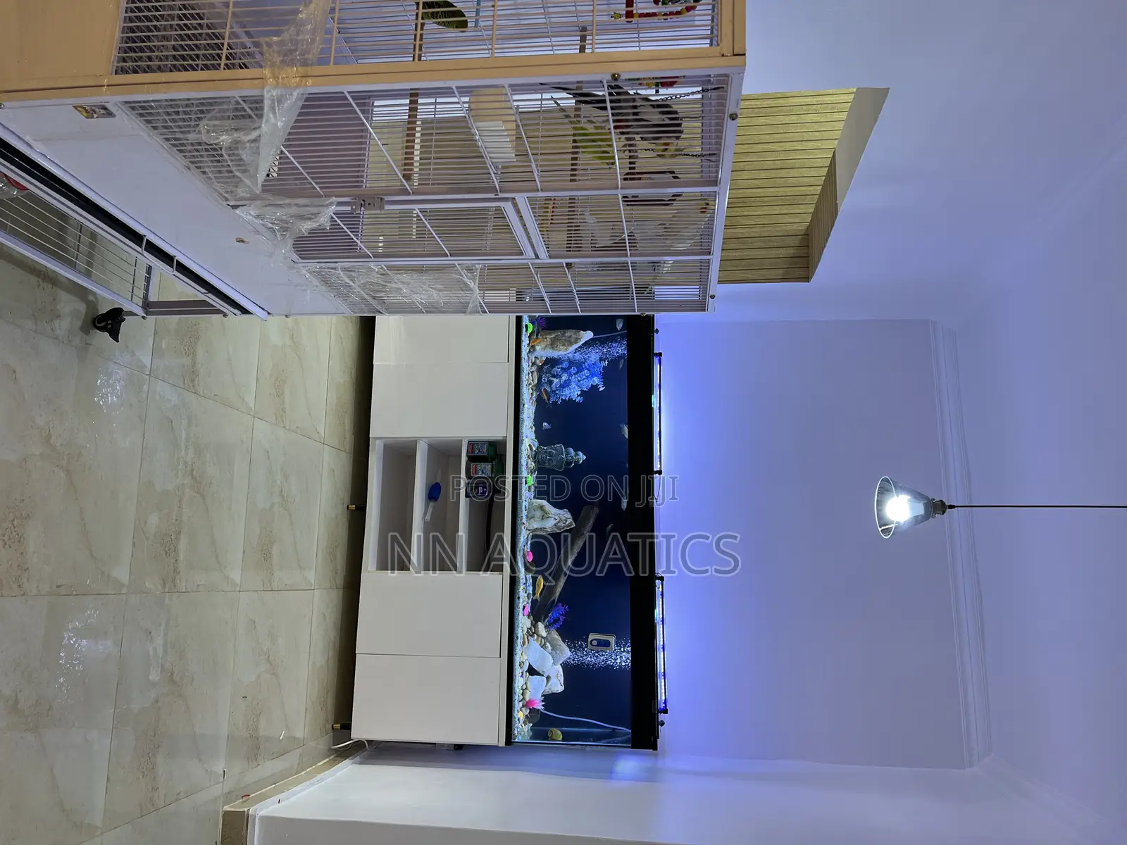 Stand Alone Aquarium