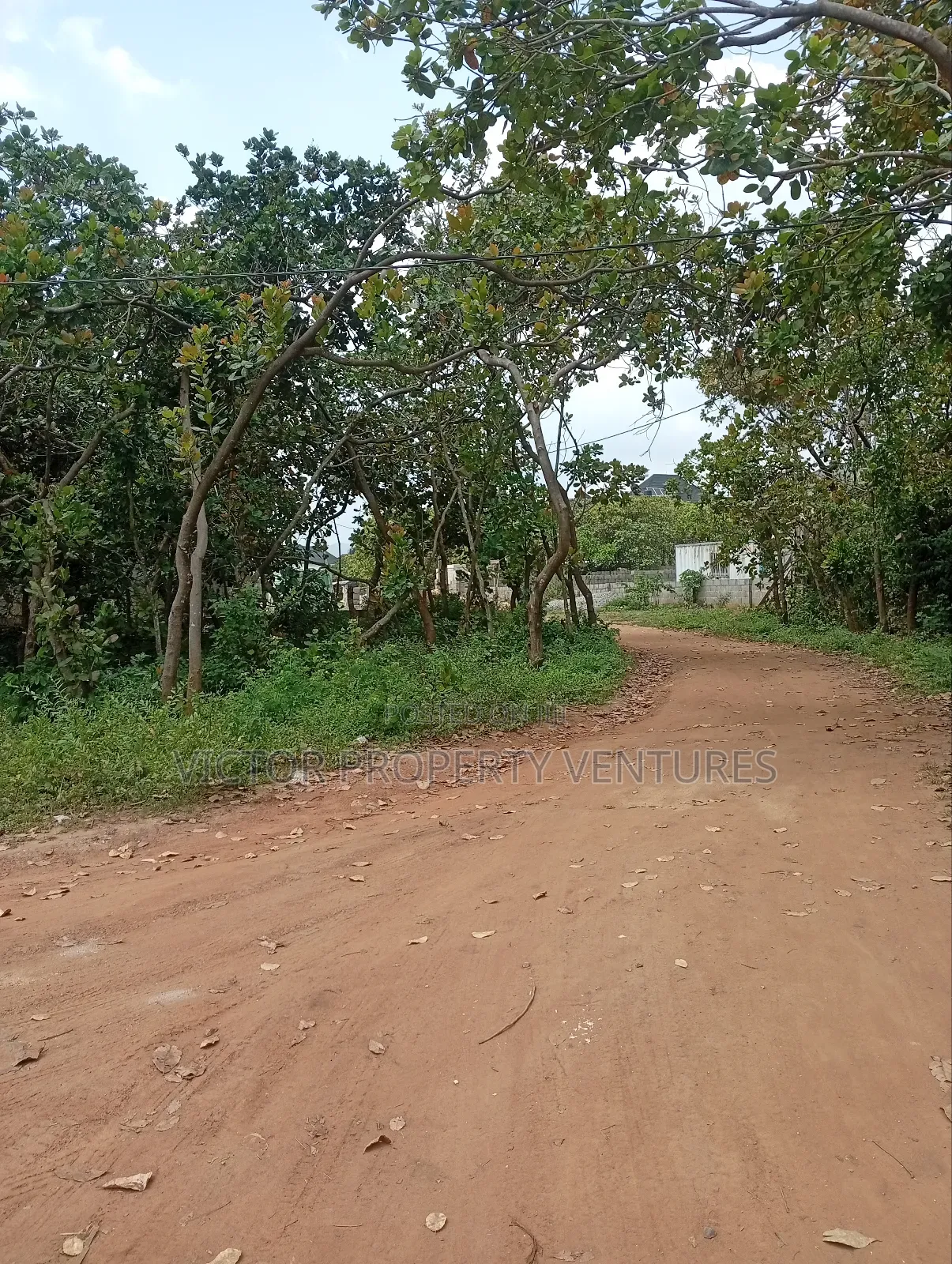 Residential Plot