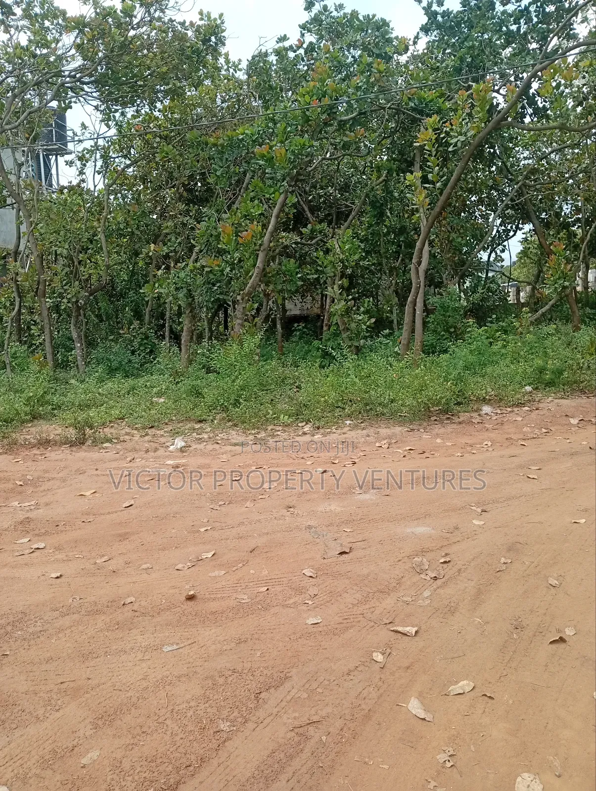 Residential Plot