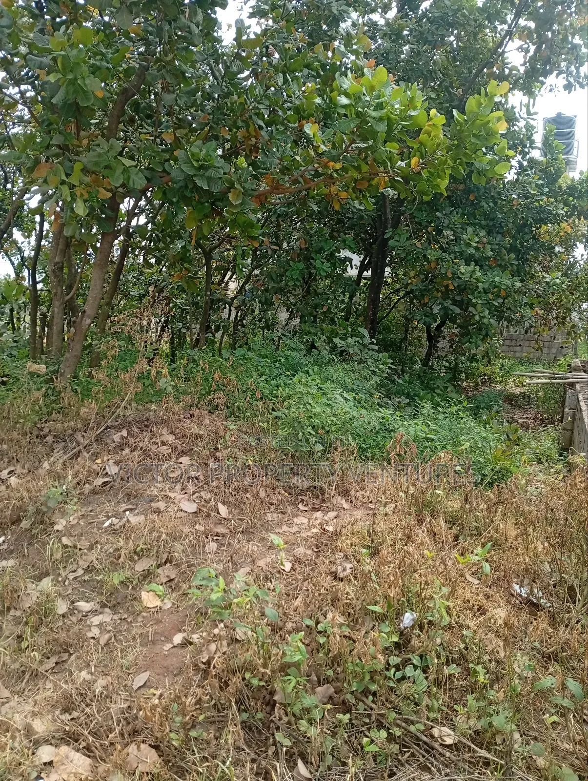 Residential Plot