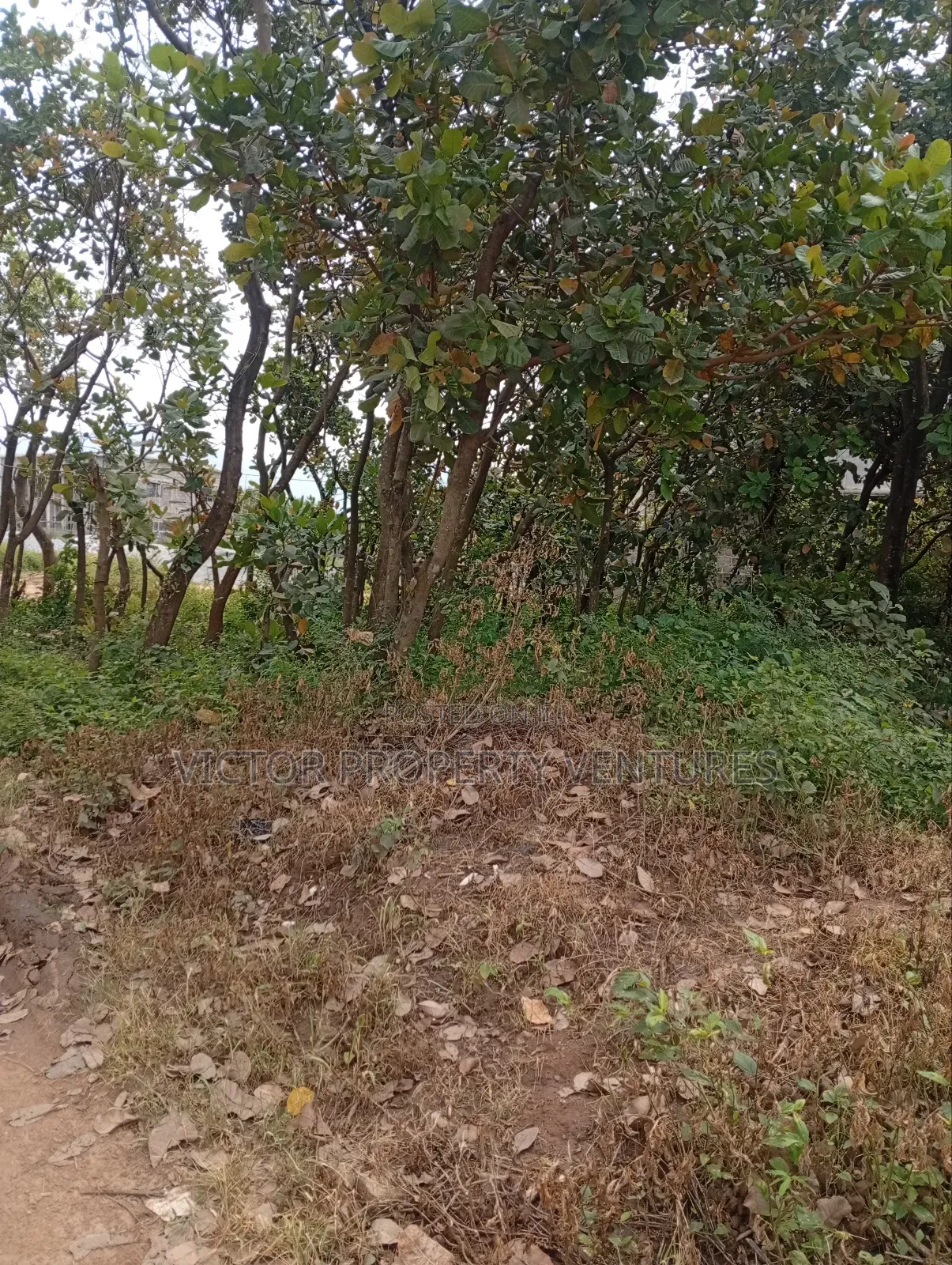 Residential Plot