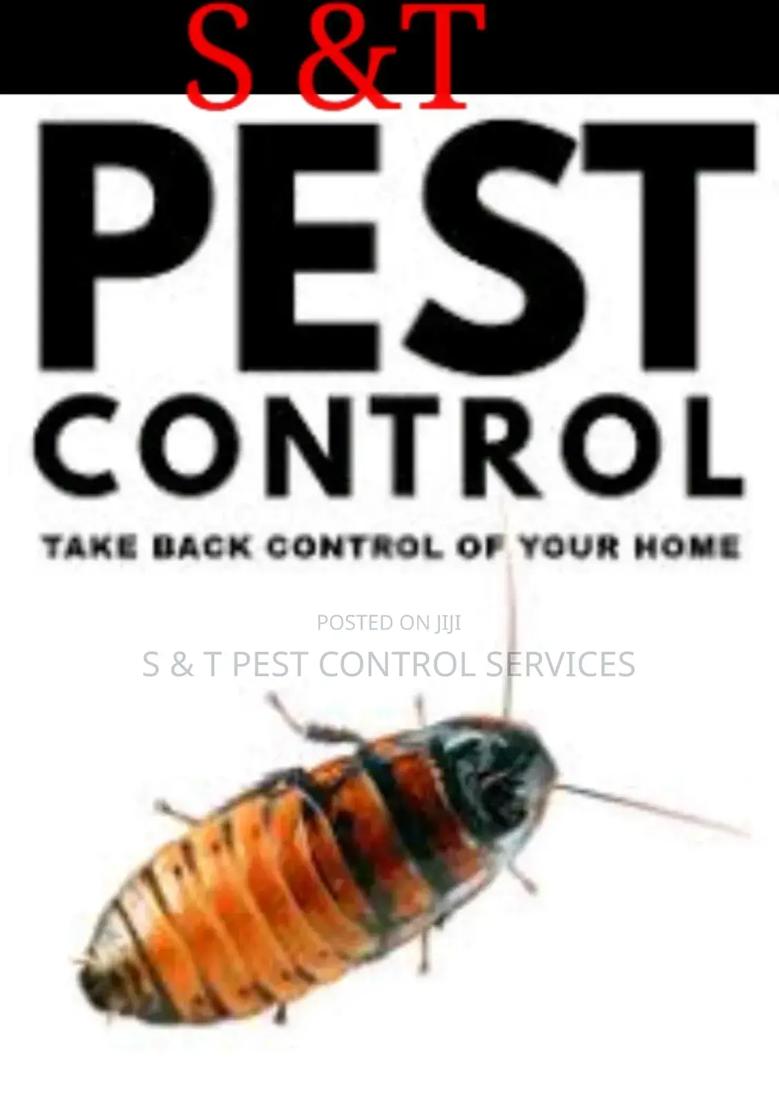 S T Pest Control and Environmental Cleaning Services