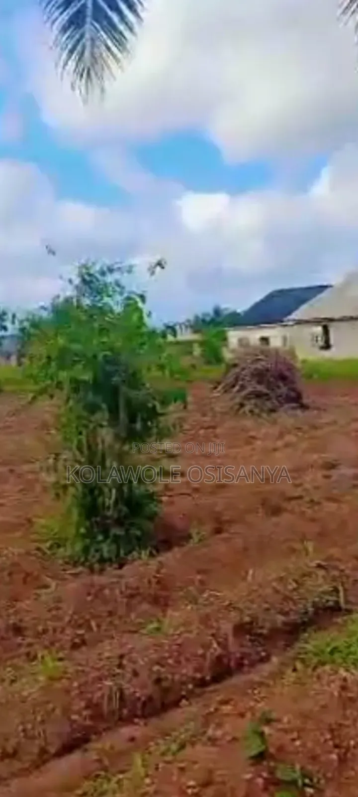 A Standard Plot of Land in a Developed Environ