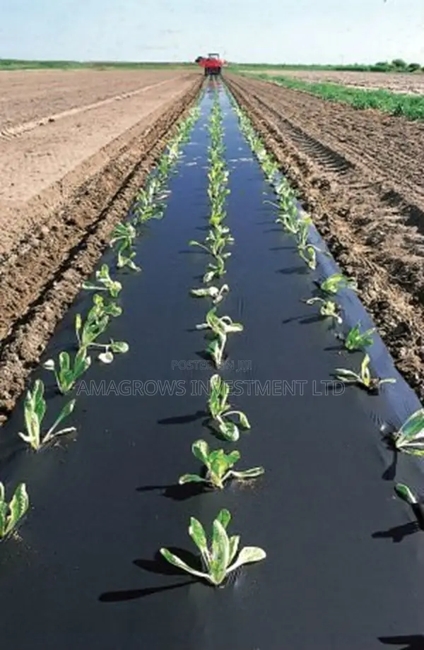 Amatropics Black Silver Plastic Mulch - 2m X 300m - 35microns