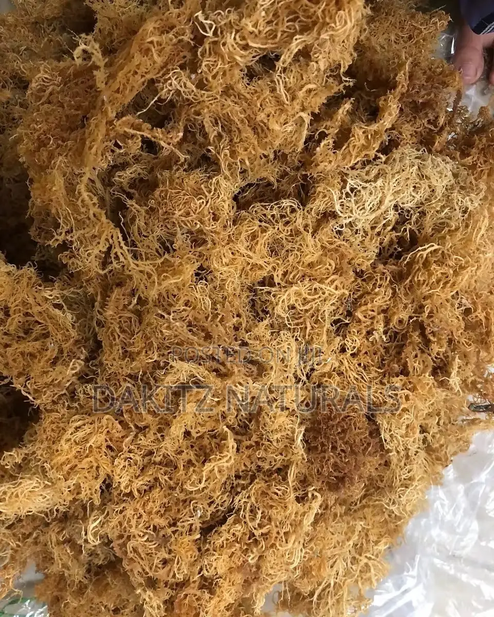 Gold Sea Moss 100g