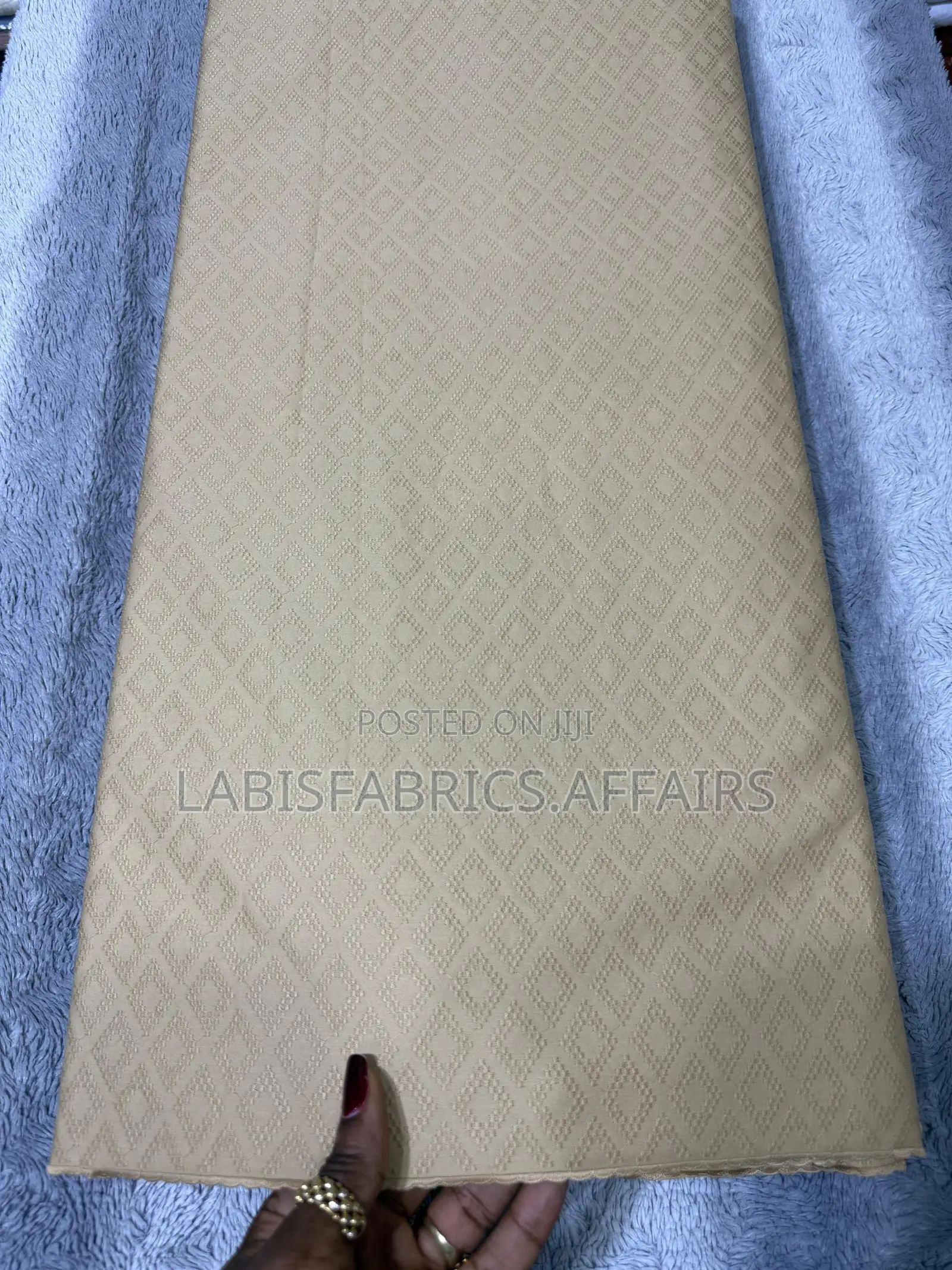 Swiss Polish Voile Lace