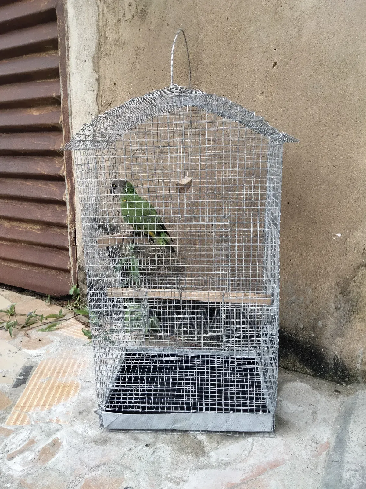 Bird / Parrot Cage