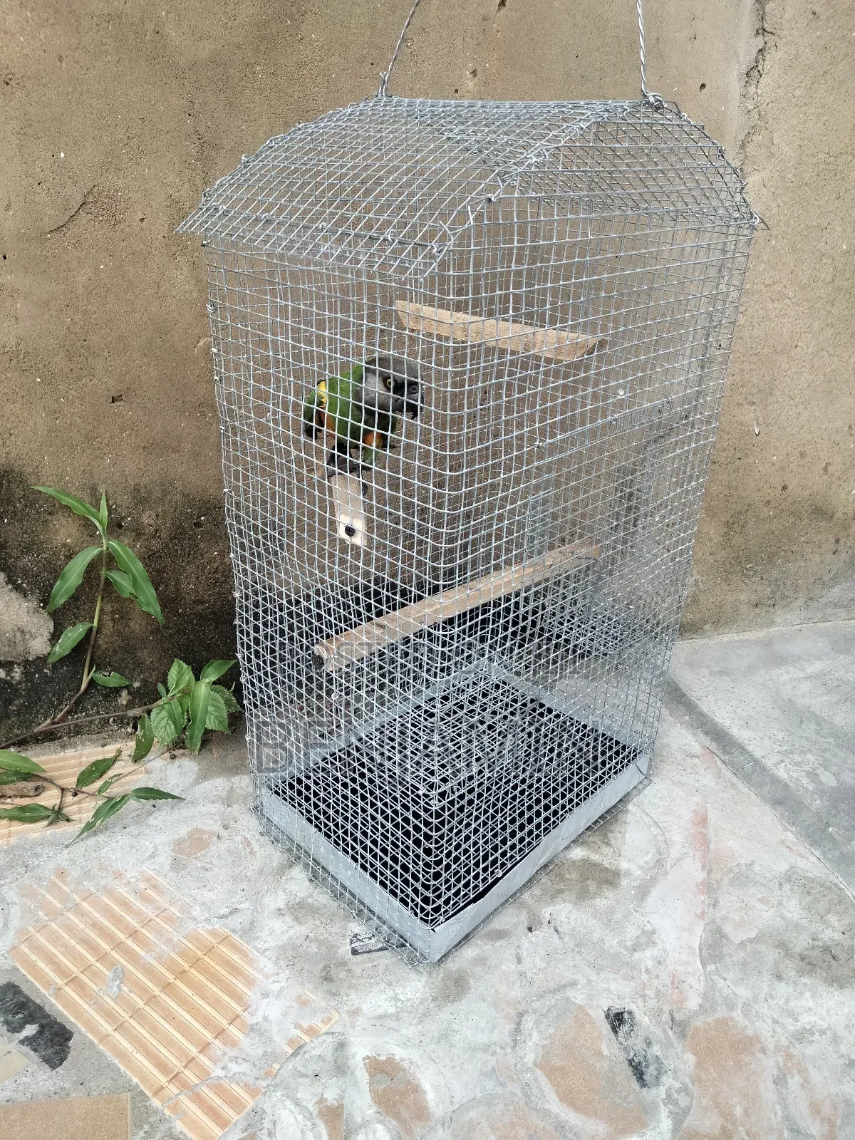 Bird / Parrot Cage