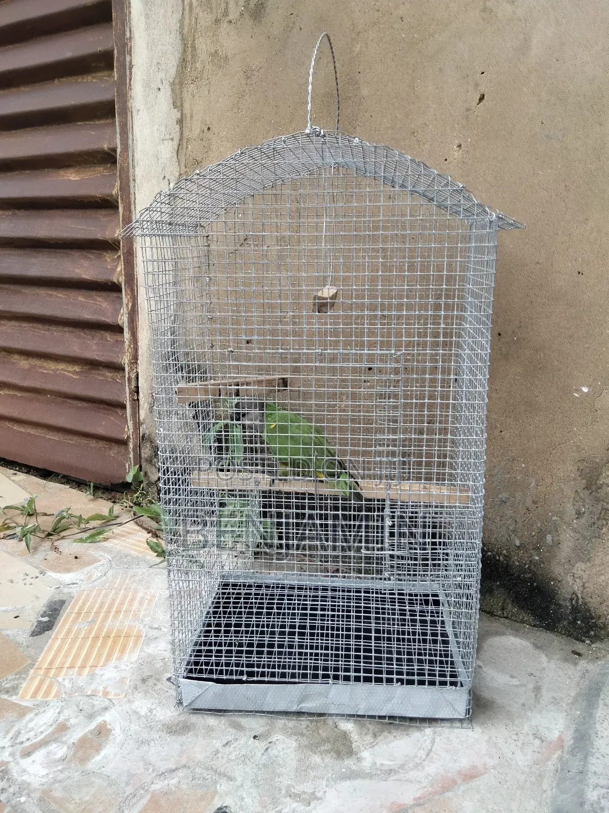 Bird / Parrot Cage