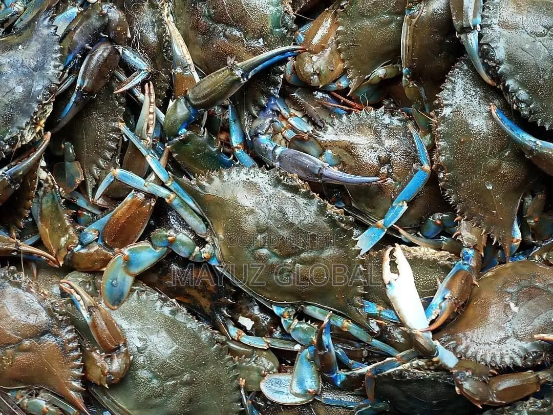 Seafoods (Crabs and Fish)