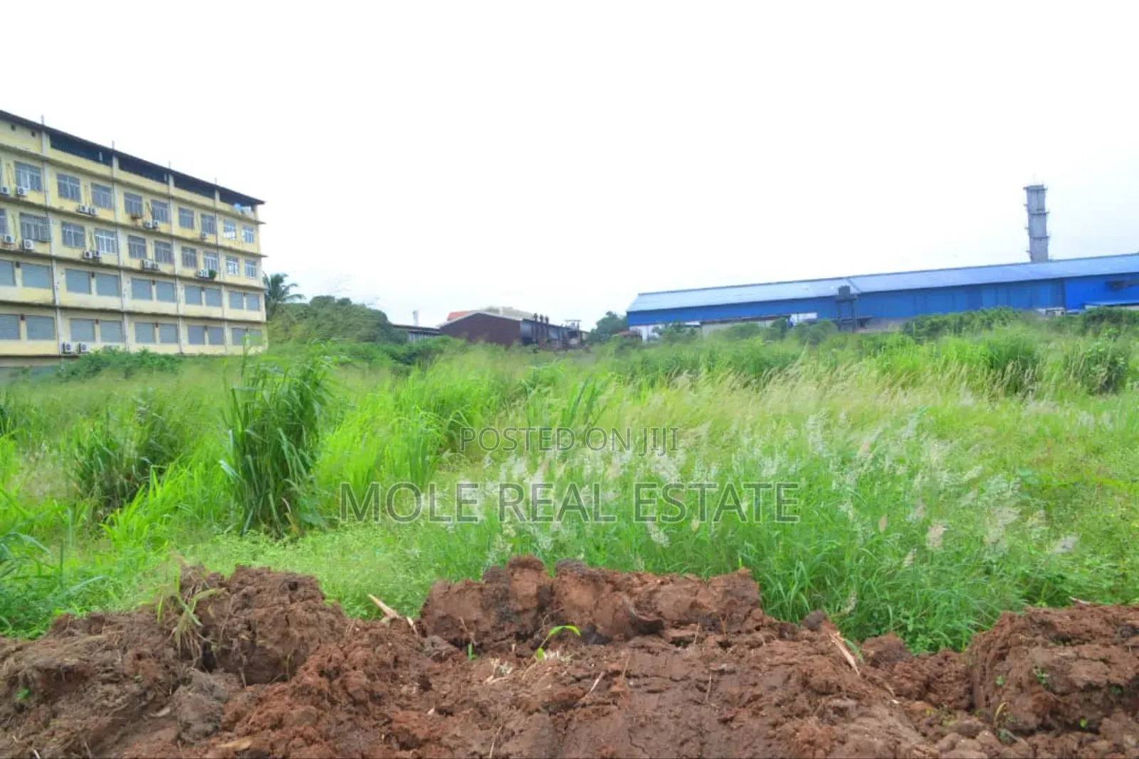 11.5 Acers of Land at Acme Road 4 Sale Ikeja