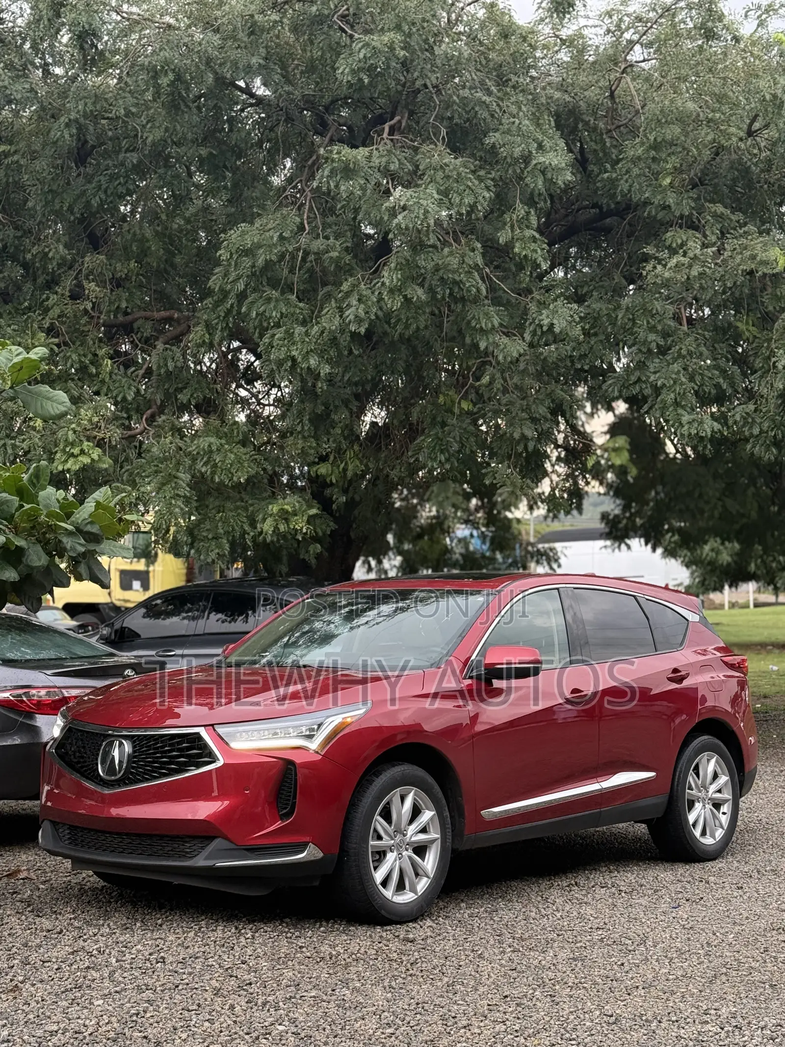 Acura RDX w/A-Spec Advance Package 2024 Red