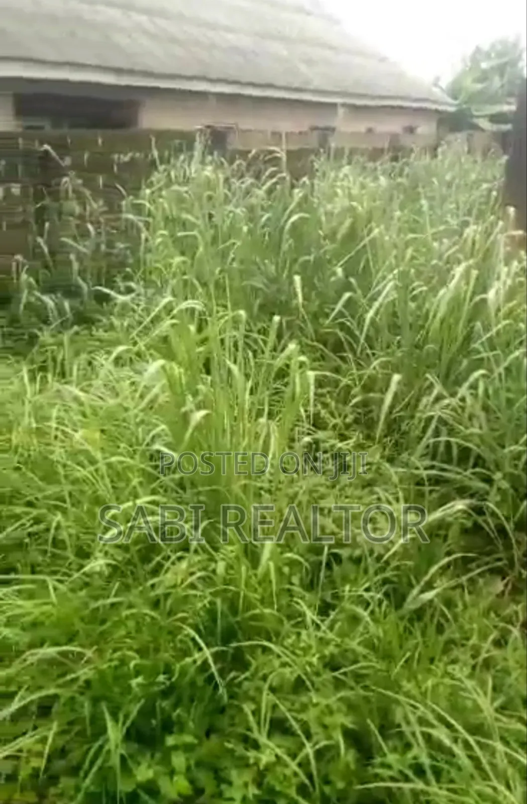 60*120feet of Land Fenced Gated at Ishefun Ayobo Close to Tarred Road