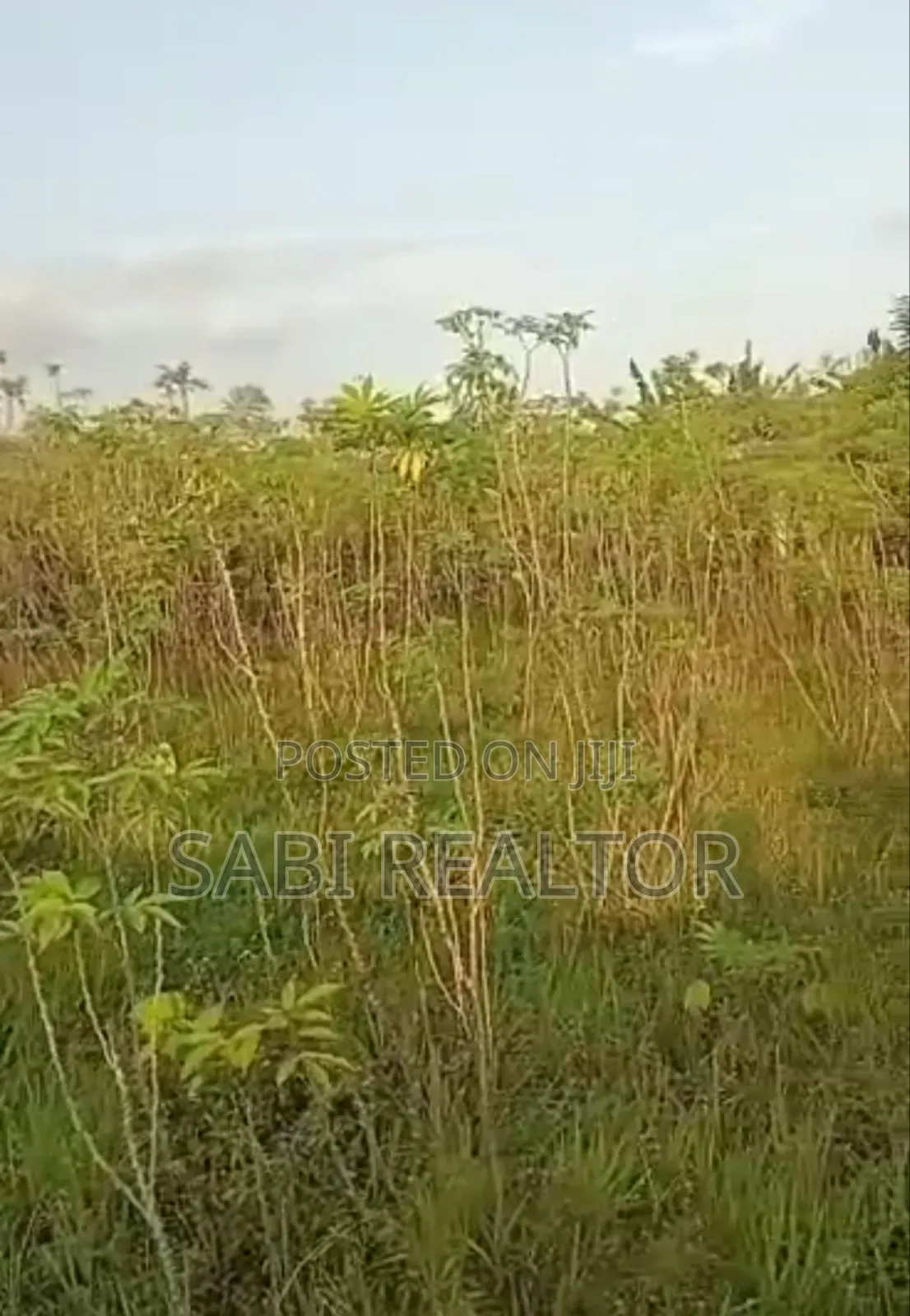 Residential Full Plot of Land at Ottun Junction, Ishefun, Ayobo, Lagos