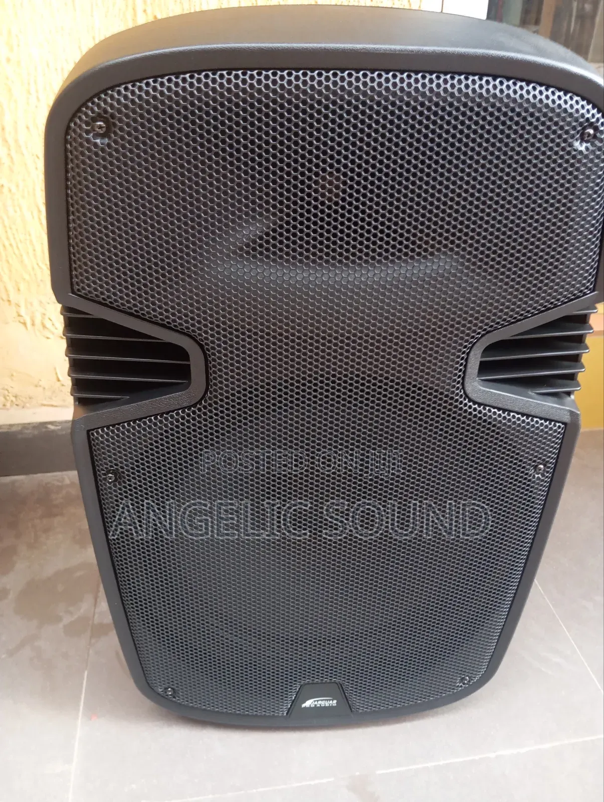 15 Inches Jaguar Pro Audio