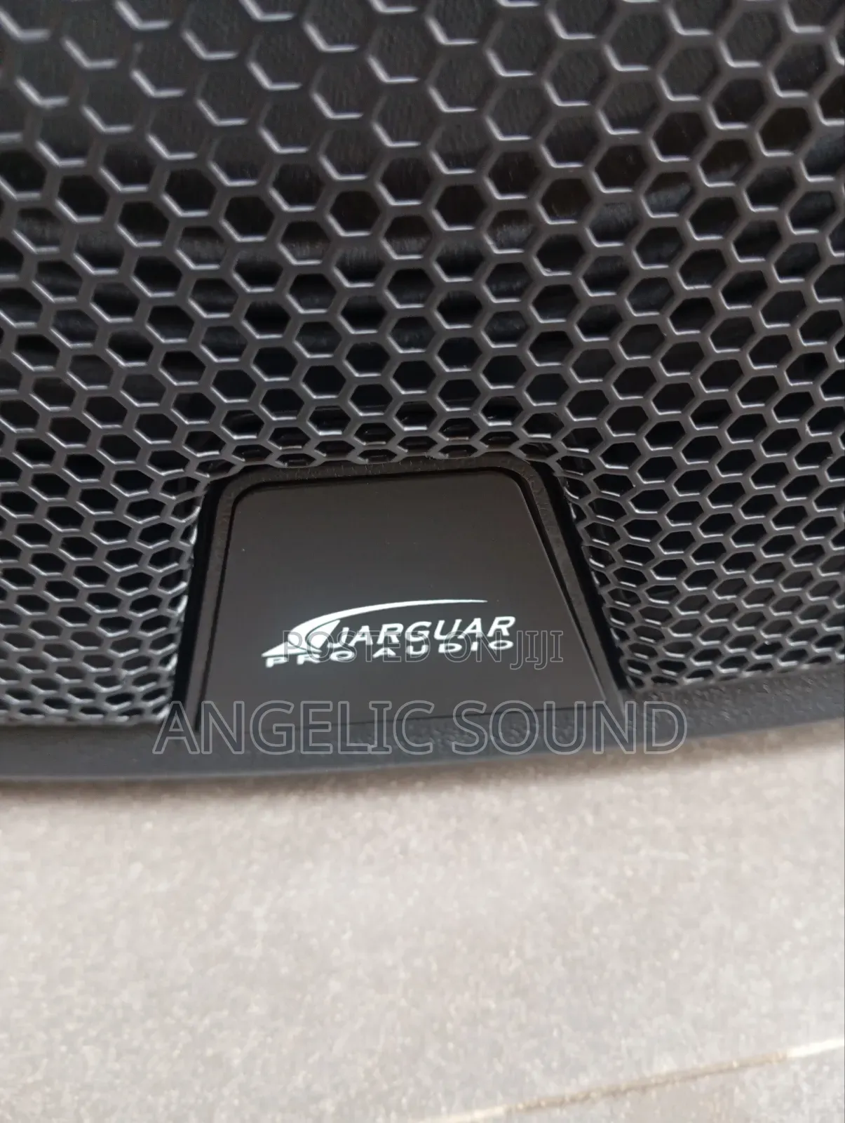 15 Inches Jaguar Pro Audio