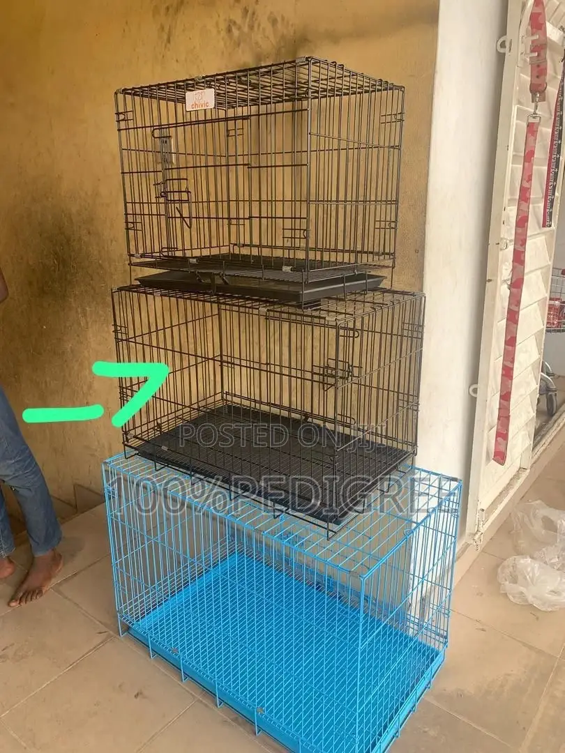 Dog Cage of All Size Available