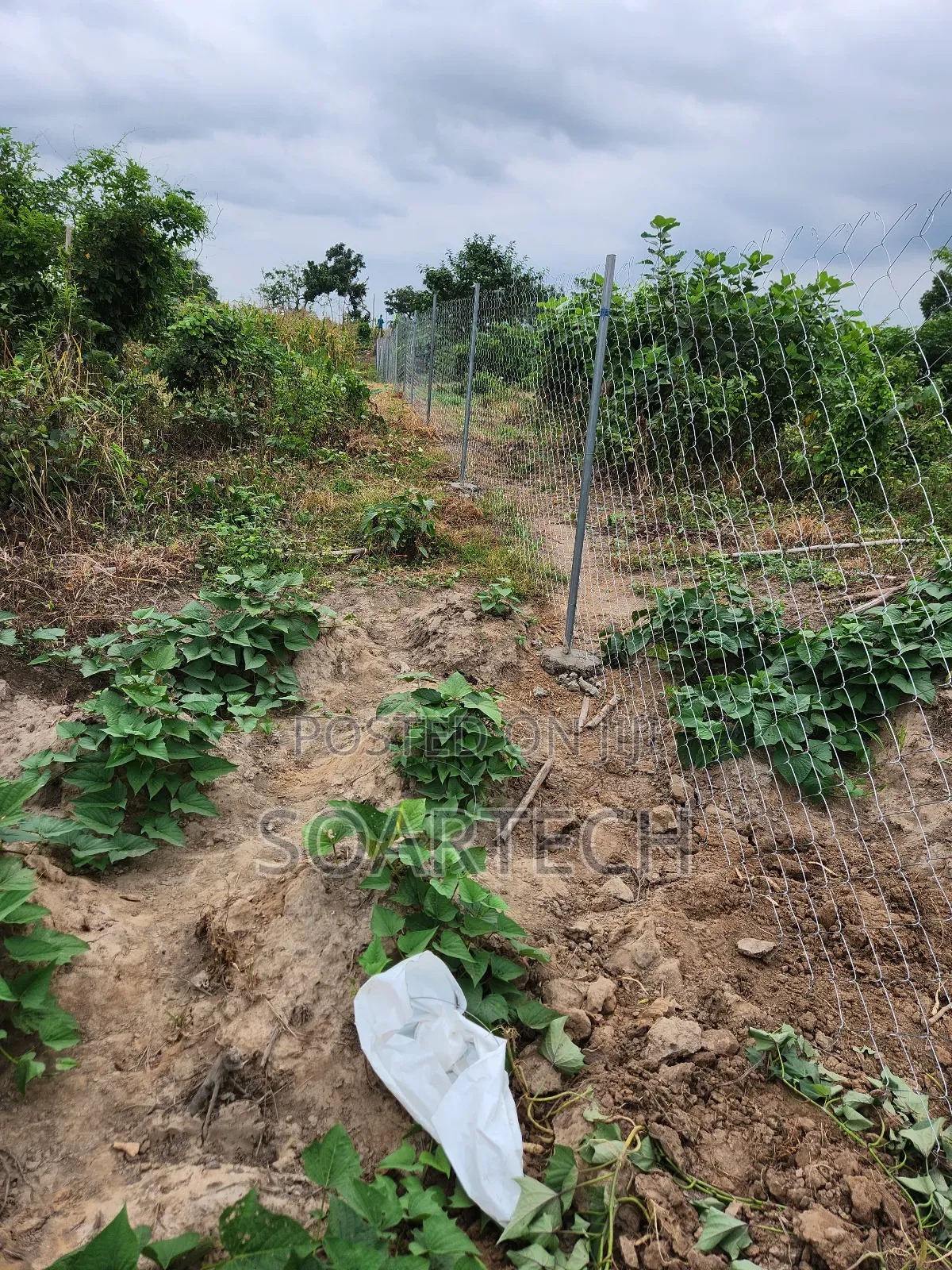 Dont Buy Land and Keep Without Fencing