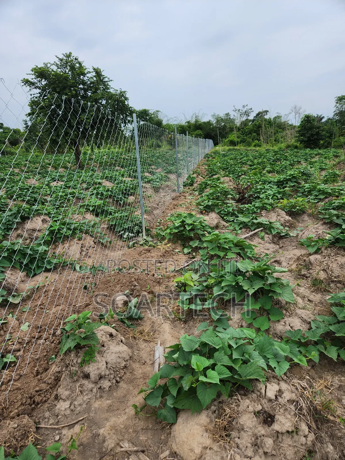 Dont Buy Land and Keep Without Fencing