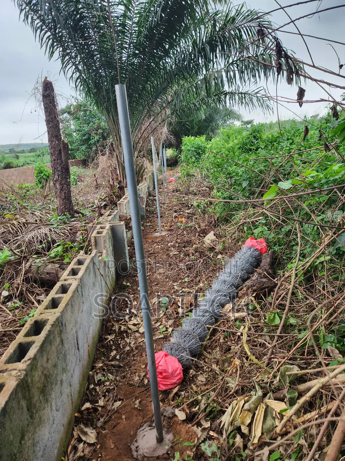 Dont Buy Land and Keep Without Fencing