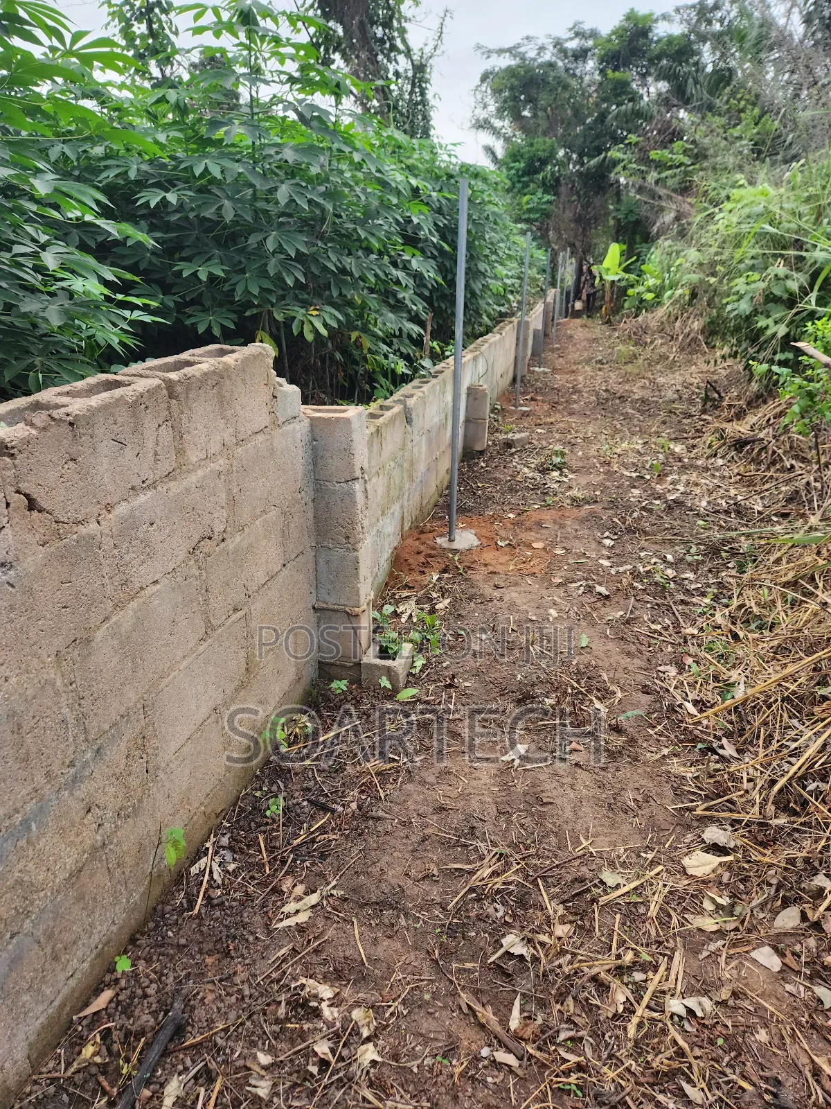 Dont Buy Land and Keep Without Fencing