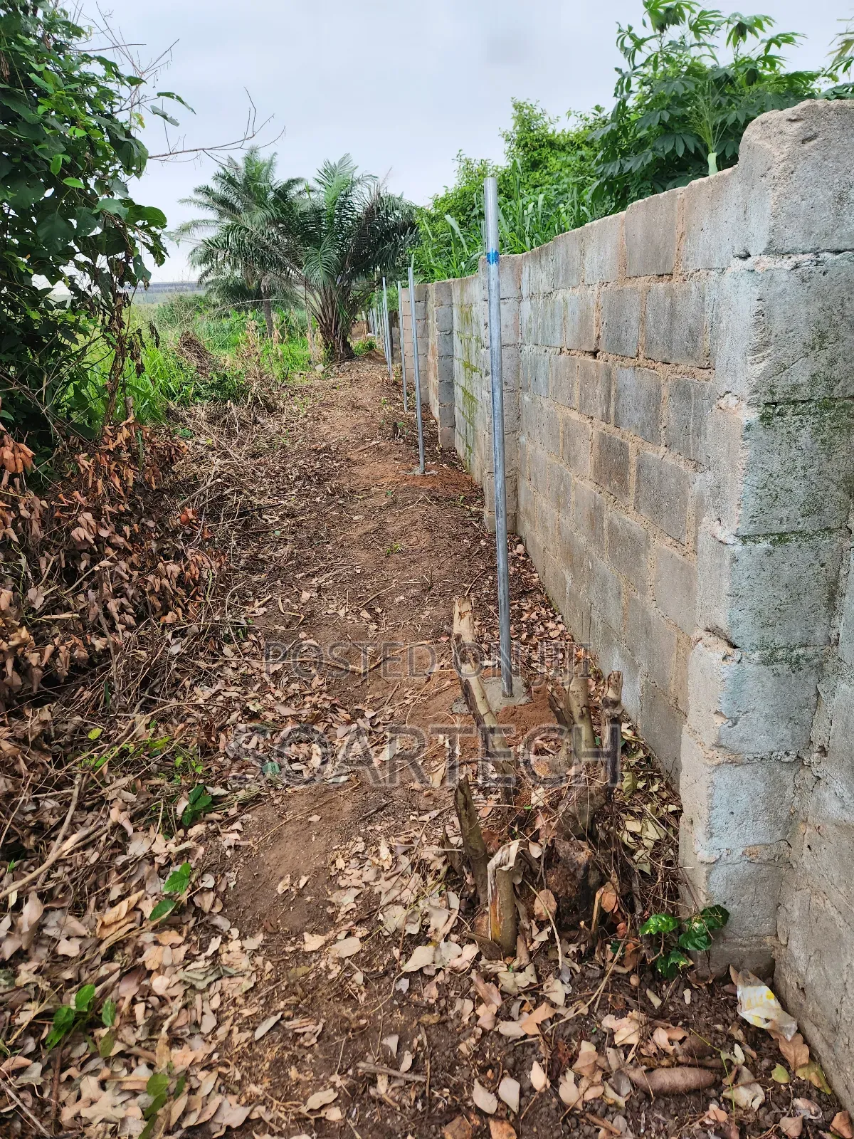 Dont Buy Land and Keep Without Fencing